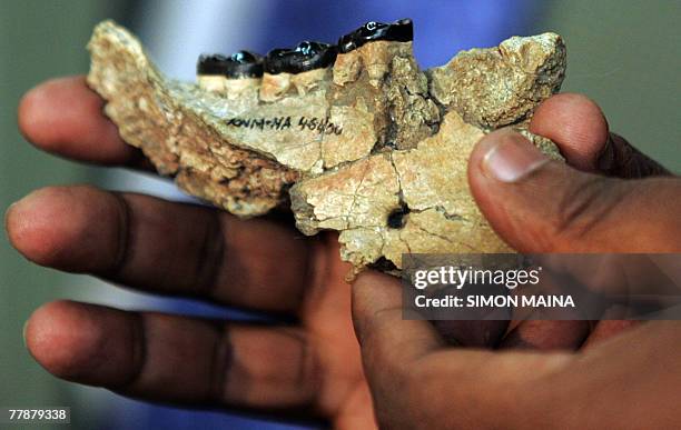 Nakapithecus Nakalipithecus Photos and Premium High Res Pictures - Getty Images