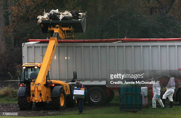 Carcasses from the ongoing cull of around 2,600 birds, including ducks and geese, are loaded into a container lorry for disposal, supervised by DEFRA...