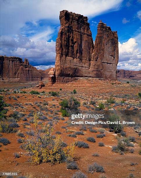 "the organ rock formation, arches national park" - the organ rock formation utah stock pictures, royalty-free photos & images