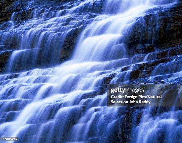 John Reddy Photos and Premium High Res Pictures - Getty Images