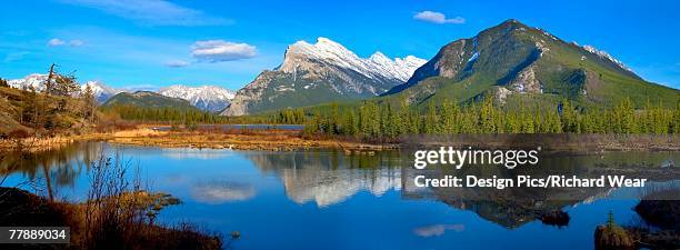 Richie Rundle 36 Richard Rundle Stock Photos, High-Res Pictures, and Images - Getty ...