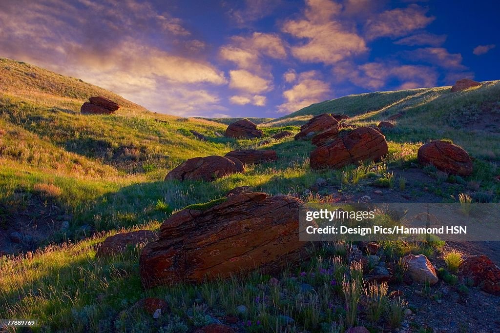 "Red Rock Coulee, Natural Area"