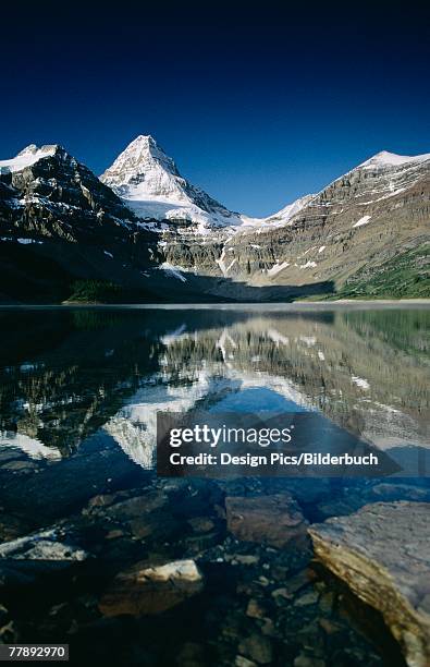 "mount assiniboine provincial park,  british columbia" - mont assiniboine photos et images de collection