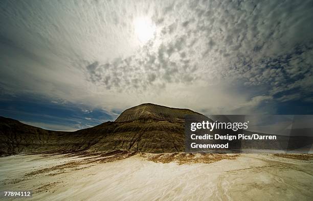 "dinosaur provincial park, alberta" - dinosaur provincial park imagens e fotografias de stock