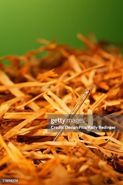 a needle in a hay stack - needle in a haystack 英語の慣用句 ストックフォトと画像