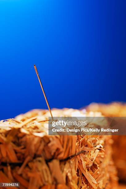 Digging Needle Hay Stack 82 Hay Stack Needle Stock Photos, High-Res Pictures, and Images - Getty ...