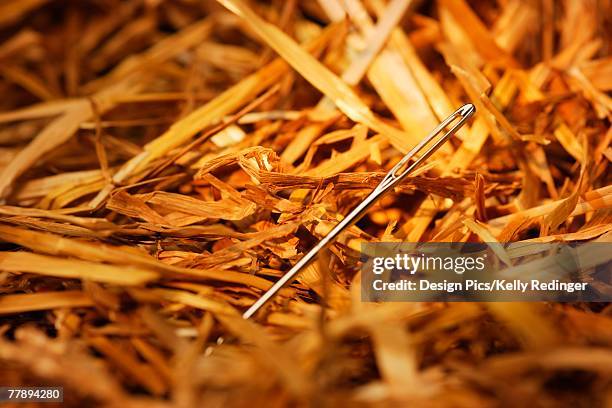 Digging Needle Hay Stack 190 Needle Hay Stock Photos, High-Res Pictures, and Images - Getty Images