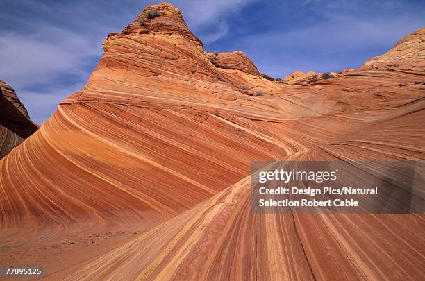 Striations Example 226 Striations Stock Photos, High-Res Pictures, and Images - Getty Images