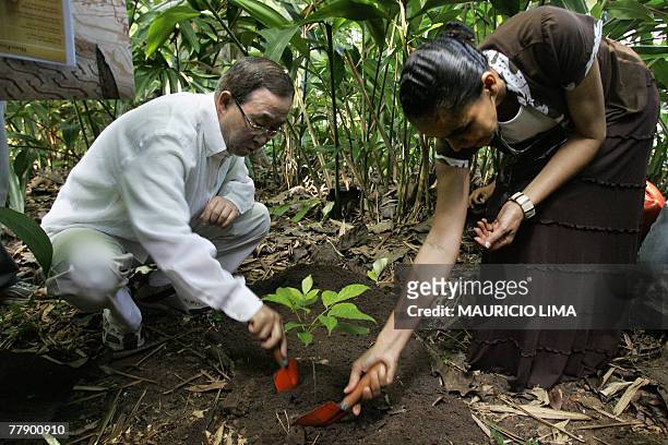 Secretary General Ban Ki-Moon and Brazil's Environmental Minister Marina Silva plant a tree as they tour the Emilio Goeldi museum's zoobotanical...