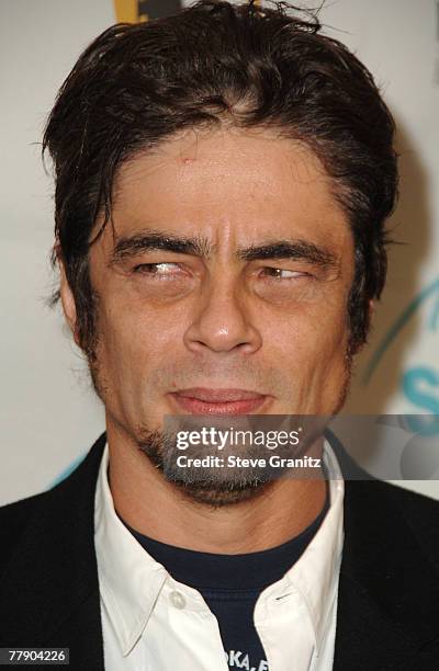 Benicio Del Toro