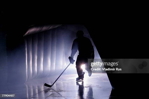 An Adler player is entering the ice prior to the DEL game between Adler Mannheim and Koelner Haie at the SAP Arena on November 13, 2007 in Mannheim,...