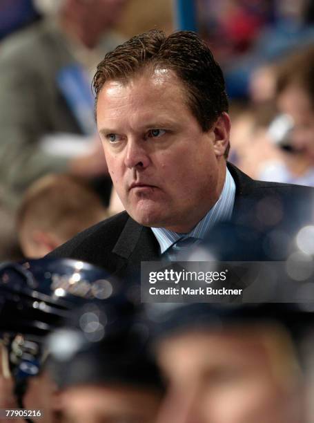 Assistant Coach Rick Wamsley of the St. Louis Blues watches the play from the bench during a game against the Detroit Red Wings at Scottrade Center...