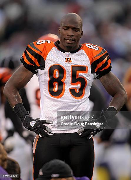Chad Johnson of the Cincinnati Bengals during a break in the action against the Baltimore Ravens at M&T Bank Staduim on November 11, 2007 in...