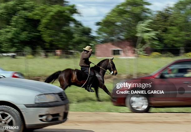 Gaucho rides his horse near the route during the Tradition Day, in San Antonio de Areco, 110 km from Buenos Aires, 11 November 2007. The Tradition...