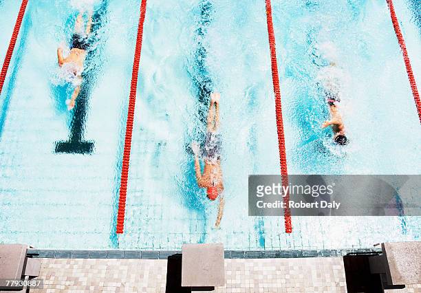 tres nadadores que a bandeja de la piscina - natación fotografías e imágenes de stock