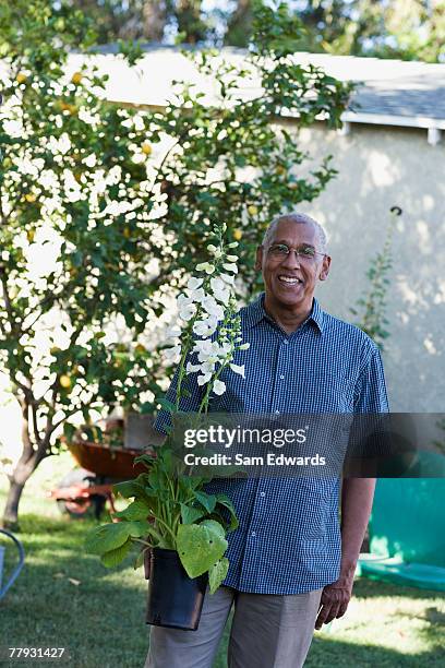 man holding a potted plant outdoors - potted fruit tree stock pictures, royalty-free photos & images