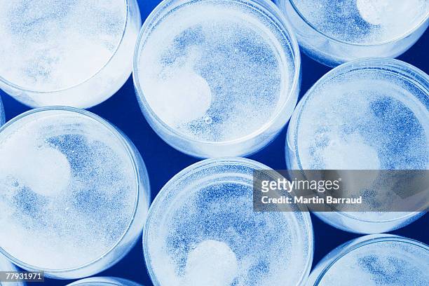 seven glasses of water with tablets dissolving in them - dissolving stockfoto's en -beelden