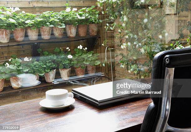empty home office with mug on desk and garden outdoors - garden office bildbanksfoton och bilder