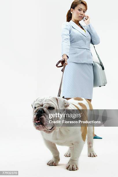 woman using cellular phone while holding dog on leash - one animal stock pictures, royalty-free photos & images