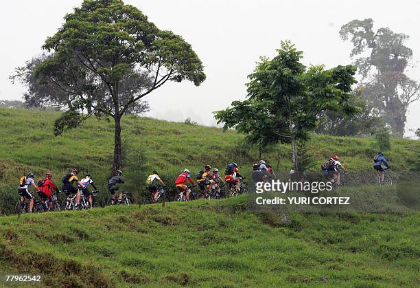 Pack of cyclists race uphill during the last stage of the "Route of Conquerors" mountain bike race 17 November, 2007 in Playa Bonita, Limon province,...