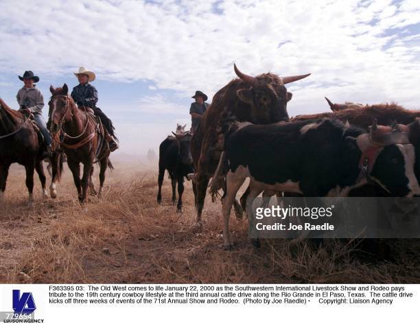 The Old West comes to life January 22, 2000 as the Southwestern International Livestock Show and Rodeo pays tribute to the 19th century cowboy...