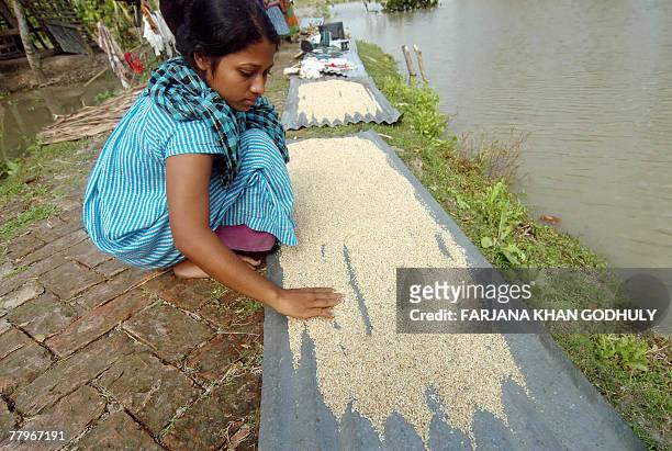 Bangladeshi cyclone-affected girl dries wet rice in a village in Rupsha on the south coast of Bangladesh, 18 November 2007. Bangladesh said the death...
