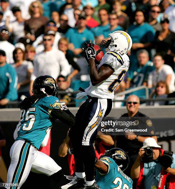 Antonio Gates of the San Diego Chargers catches a pass over Reggie Nelson of the Jacksonville Jaguars at Jacksonville Municipal Stadium on November...