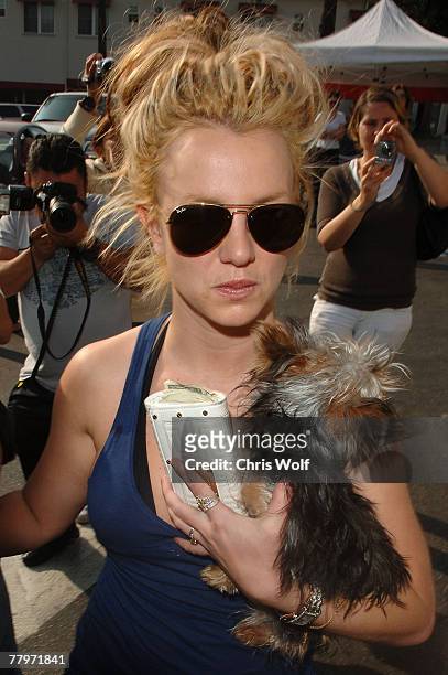 Britney Spears leaving Petco on November 17, 2007 in Los Angeles, California.