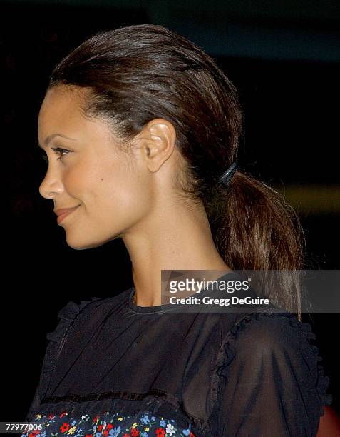 Actress Thandie Newton arrives at the "Darfur Now" Los Angeles screening at the Directors Guild of America on October 30, 2007 in Los Angeles,...