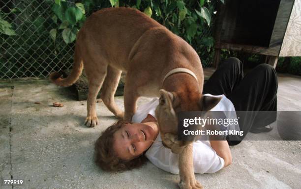 Barbara Addington lays on her back while she plays with a Florida cougar cross breed at the Southern Florida Rehabilitation Center September 16, 2000...