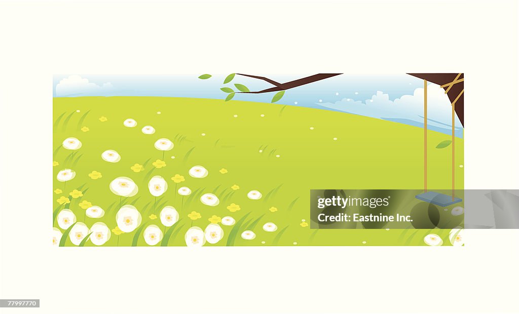 Swing hanging on a tree