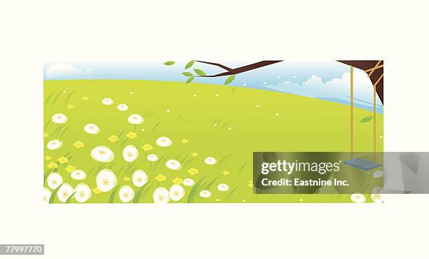 swing hanging on a tree - tire swing stock illustrations