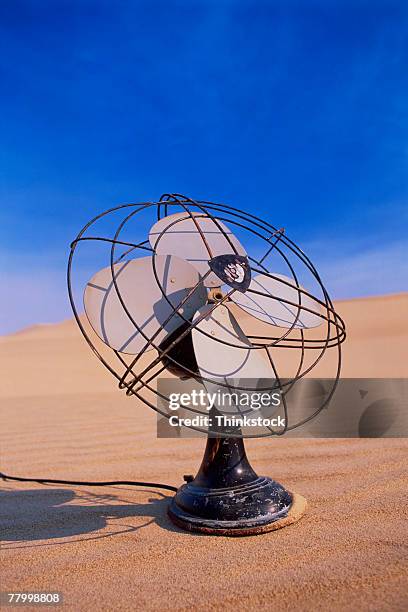 Sander Fans Sand Fans Photos and Premium High Res Pictures - Getty Images