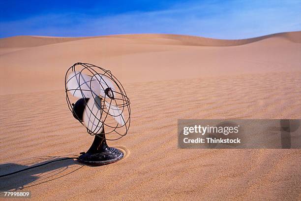 Sander Fans Sand Fans Photos and Premium High Res Pictures - Getty Images