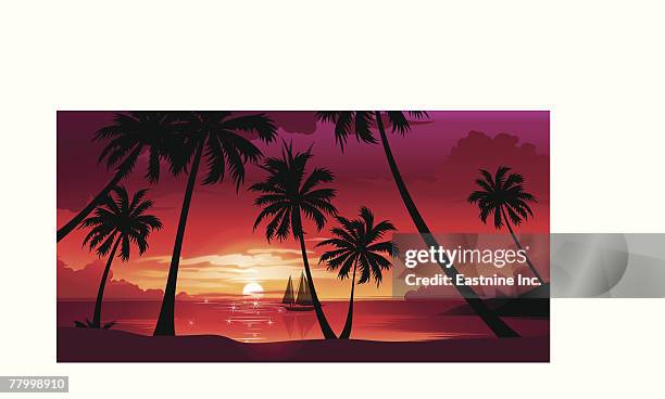 silhouette of palm trees at sunset - low angle view of silhouette palm trees against sky stock illustrations