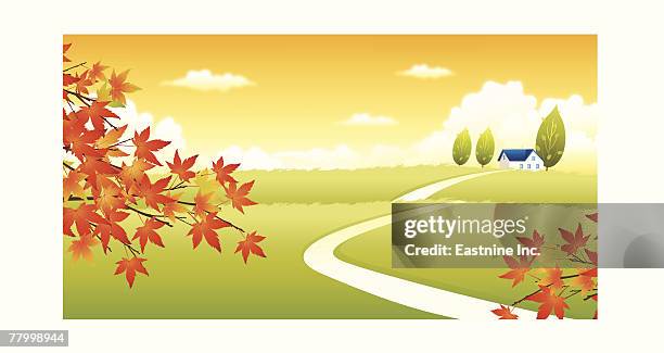 path passing through a field - pavement background stock illustrations