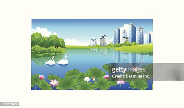 reflection of buildings in a pond - aquatic organism stock illustrations