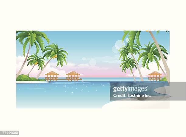 palm trees on the beach - thatched roof stock-grafiken, -clipart, -cartoons und -symbole