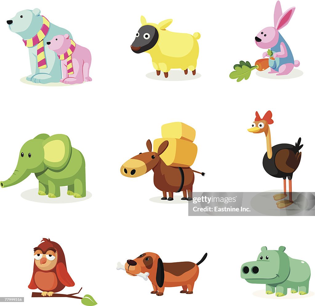 Close-up of a group of animals