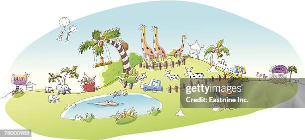 animals in the zoo - pool background grass stock illustrations