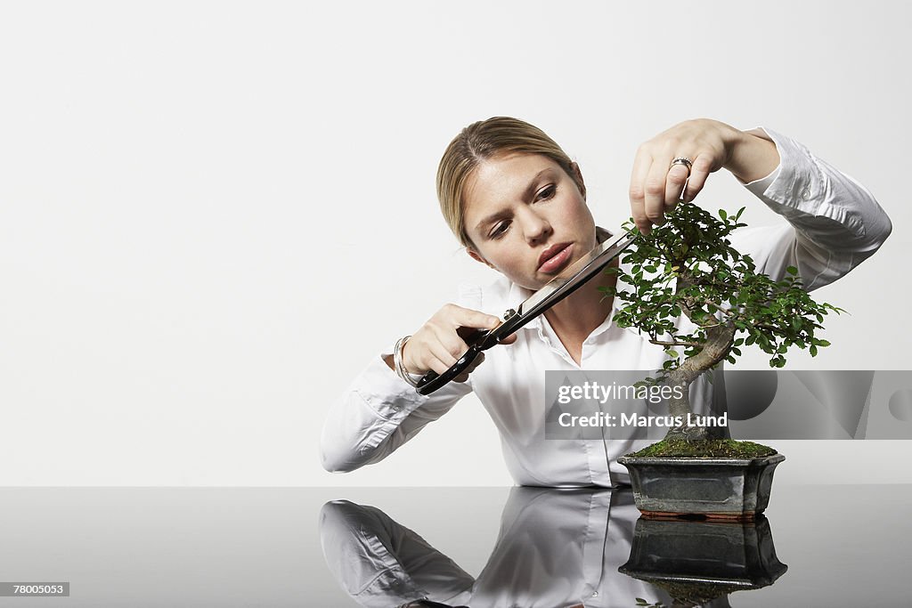 Young business woman at desk pruning Bonsai tree.