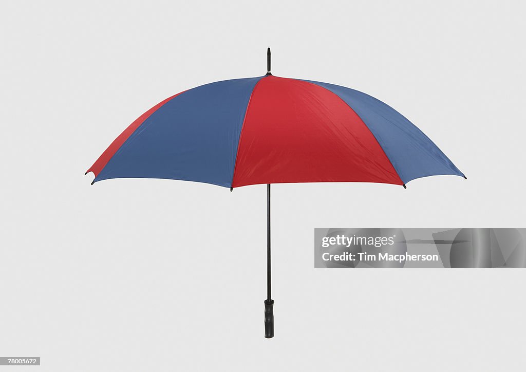 An opened umbrella.