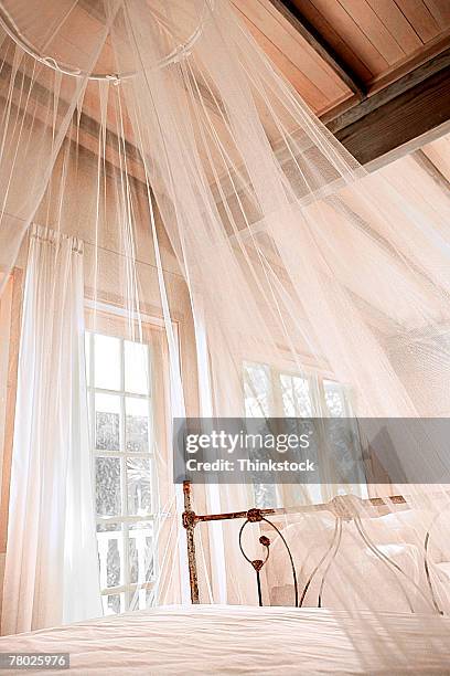 a sheer white canopy hanging over a bed. - mosquito netting stock pictures, royalty-free photos & images