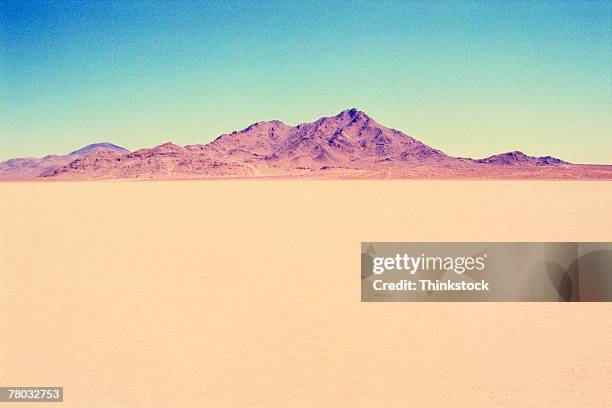 thc0014200 - processo cruzado imagens e fotografias de stock