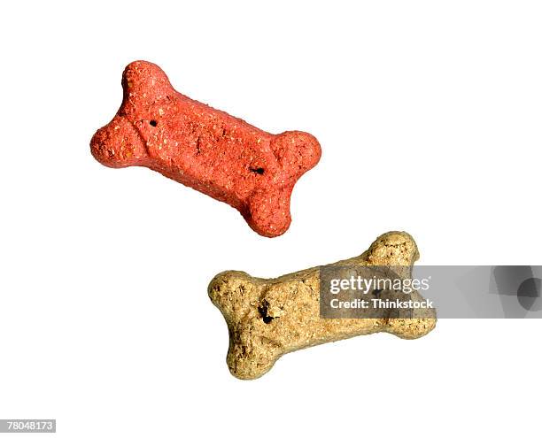 dog treats - dog biscuit stock pictures, royalty-free photos & images