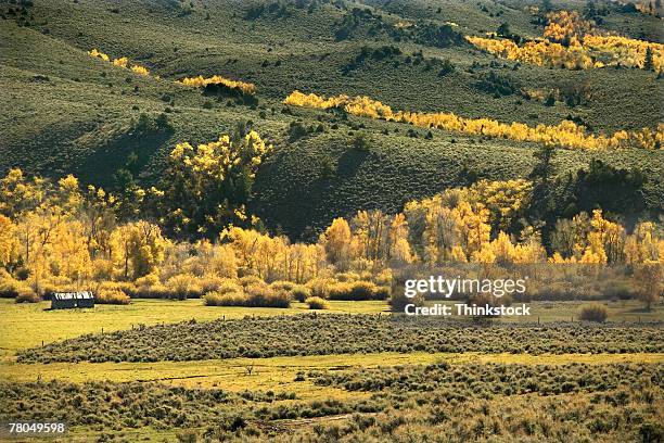 Aspen Valley Ranch Photos and Premium High Res Pictures - Getty Images