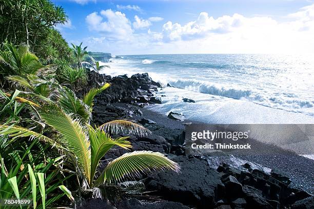volcanic shoreline in hawaii - kona coast stock pictures, royalty-free photos & images