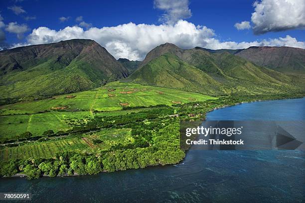 aerial view of lush and rugged hawaiian landscape - puu olai stock pictures, royalty-free photos & images