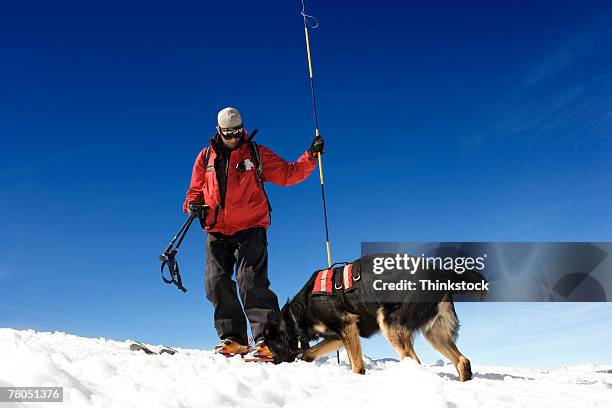 ski patrol with dog - rescue worker bildbanksfoton och bilder