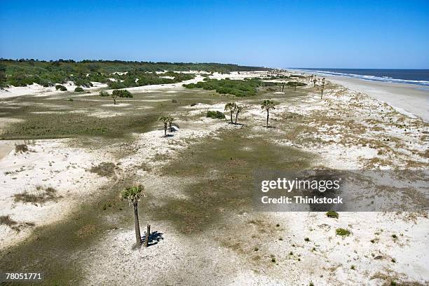 aerial view of cumberland island, georgia - insel cumberland island stock-fotos und bilder